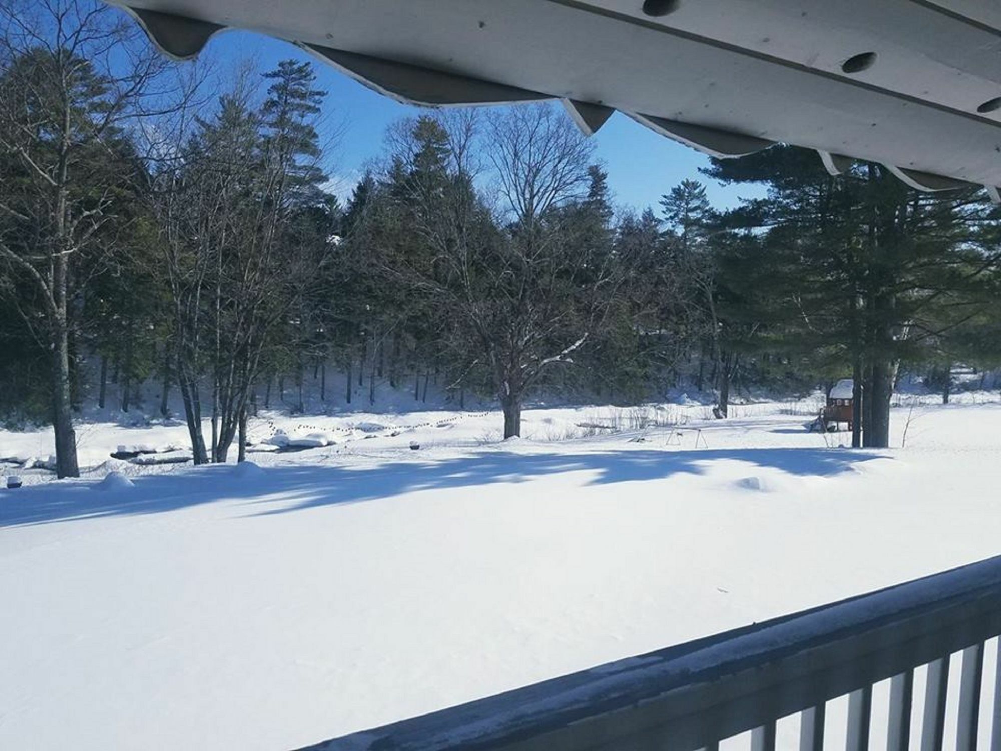 Covered Bridge River View Lodge (Adults Only) Jackson Dış mekan fotoğraf